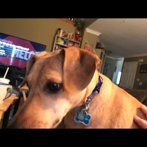 Meet your Posher, Justin